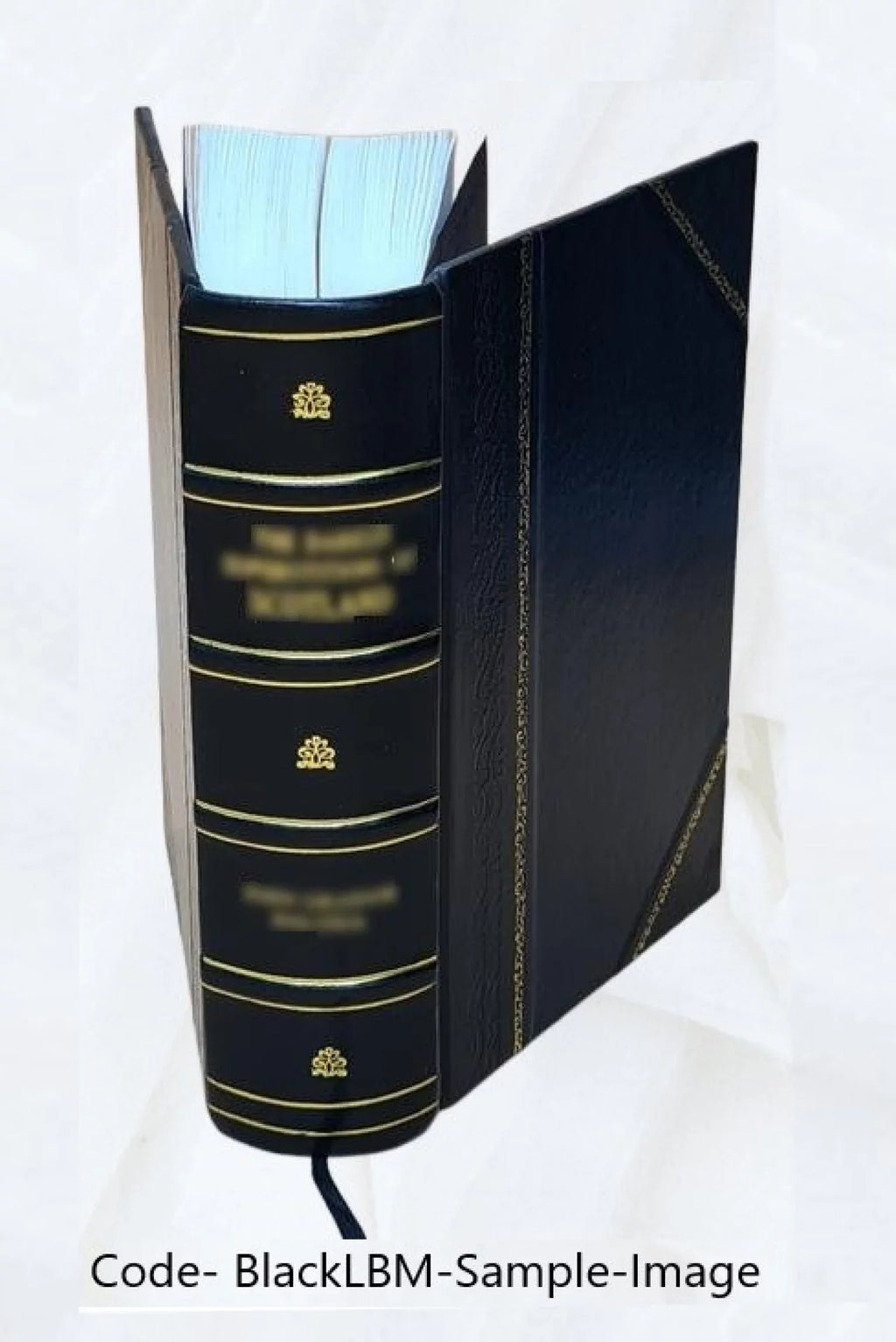 et [Leather 1840 di Angelo 70 Spicilegium Romanum miracula Mm. et Cyri cura Laudes a Ss. Iohannis Mai Bound]