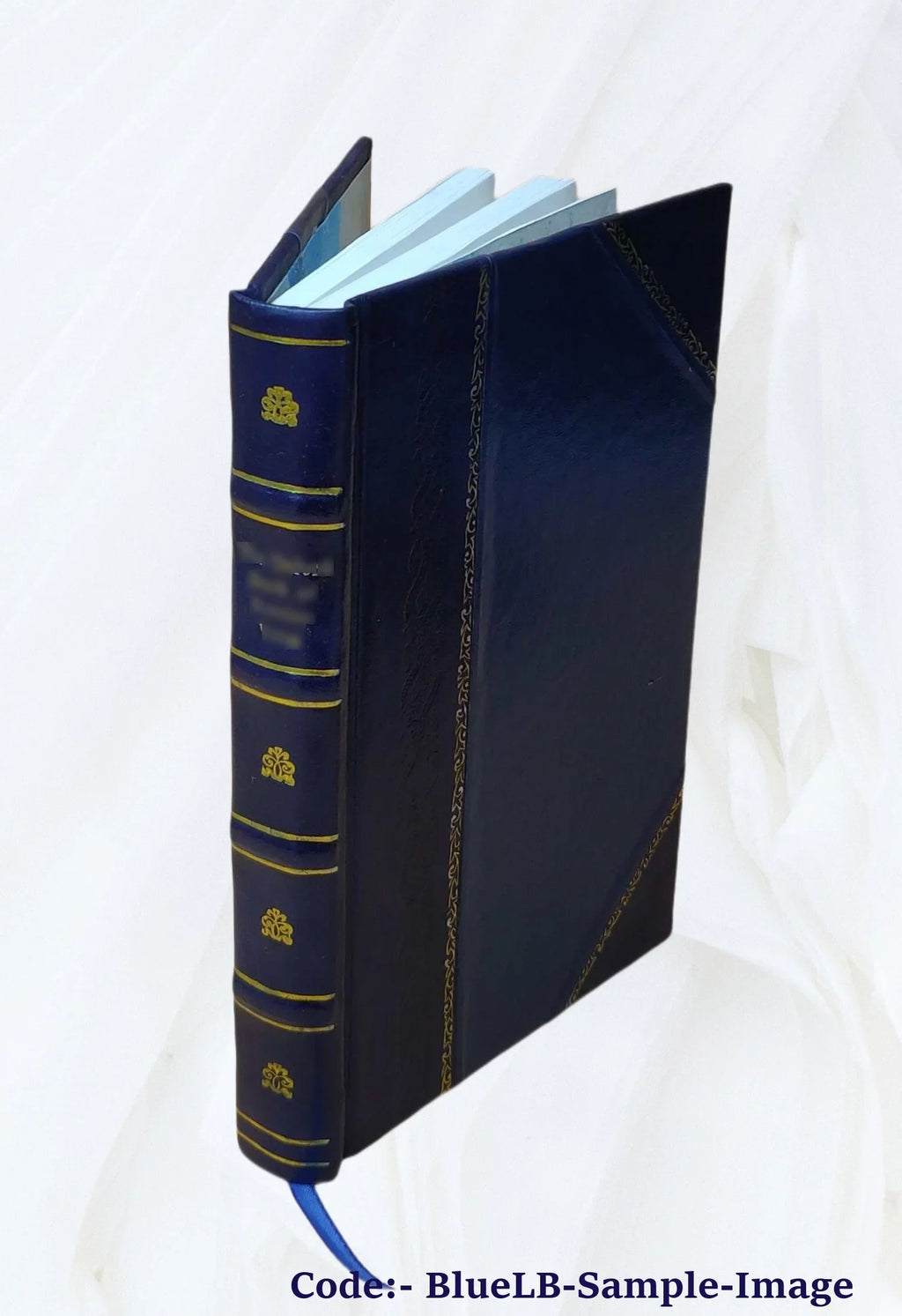or, gulf the river [Leather on the On The the trail to 1913 Mississippi, Bound] boat motor boys