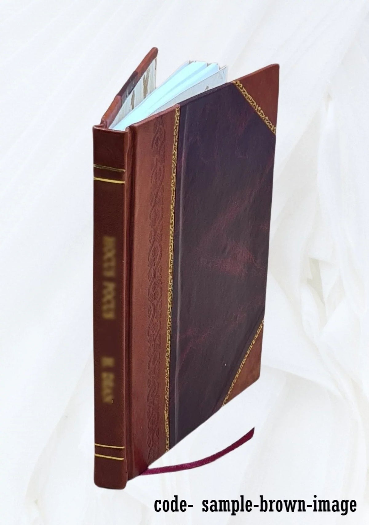 op van Bound] kultuur Raden natte door [Leather padi Hadji voor Moehamad de Moesa. (sawahs) / 1864 Handleiding velden